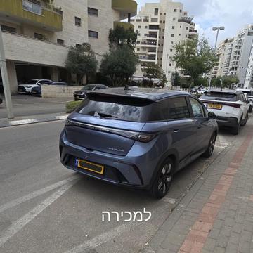 בי ווי די DOLPHIN